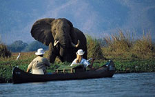 Zimbabwe-Mana Pools-Canoe Safari from Kariba to Mana Pools